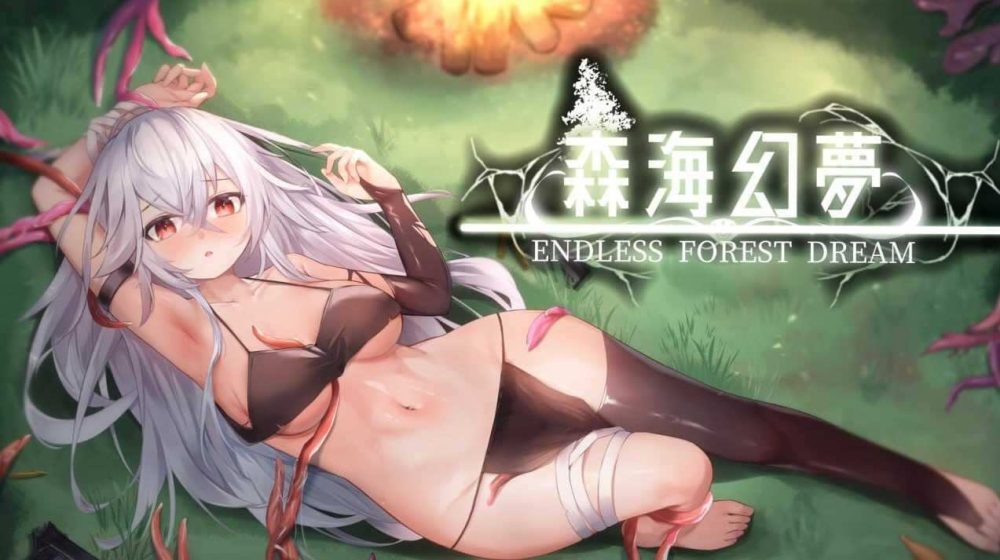 【ACT/官中/步兵/PC】森海幻梦 Ver1.12 Endless forest dream 正式版【970M】