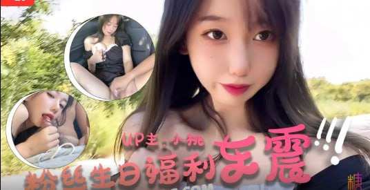 ‎【百度网盘】【005C】【午夜大剧院】粉丝生日祭-车震福利 #小桃酱 #车震  #糖心