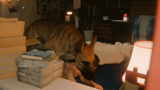[3D动画/无码] wgqhs 24.09 JILL and Dog NTR [216M/FM/BD]