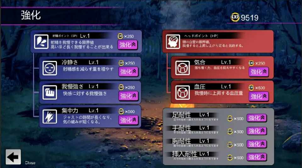 [互动SLG/中文/动态] 淫魔迷宮～Succubus Dungeon～ 外伝 官方中文版+全回想 [320M/多空/BD]