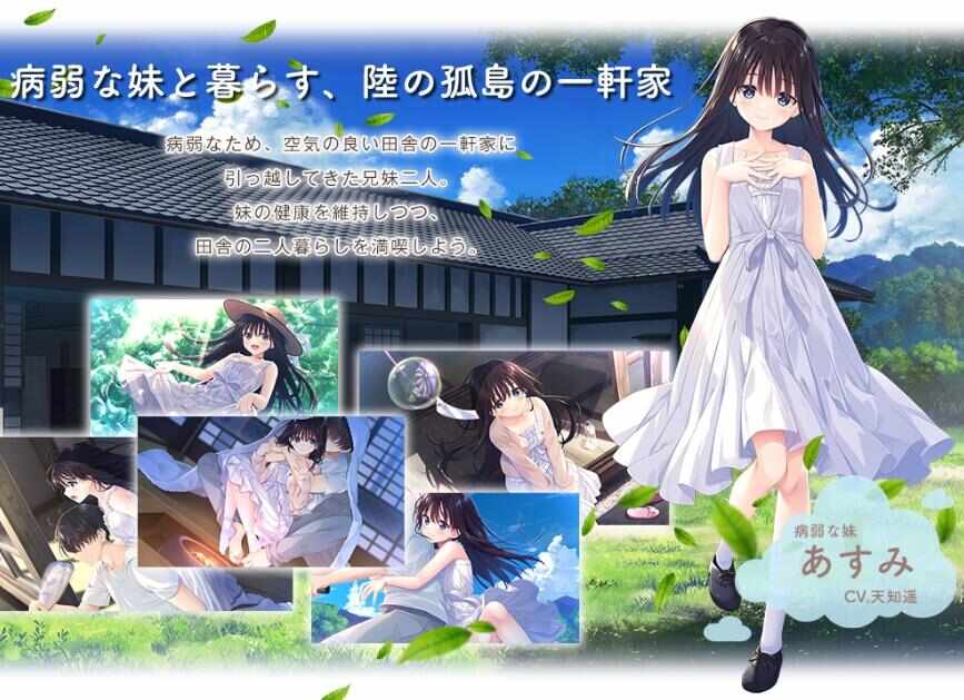 [PC-SLG游戏] [SLG/PC/官中] 沉溺于炙热爱情的乡间隐居的哥哥与充满古典韵味的病弱妹妹 エッチで一途なド田舎兄さまと 体验版