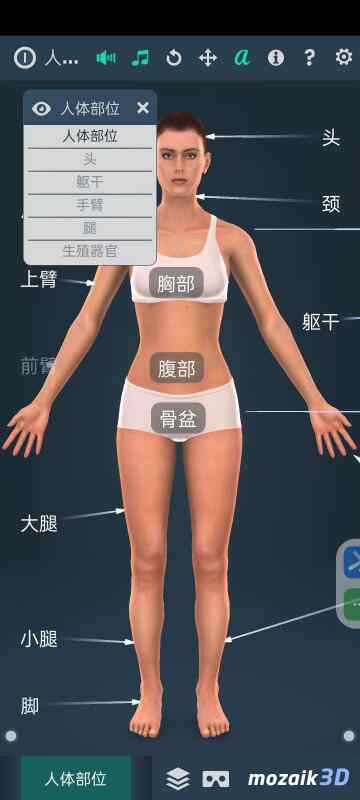 人体解剖系统女性3 D⭕1.0✨女性全身系统介绍等🔥