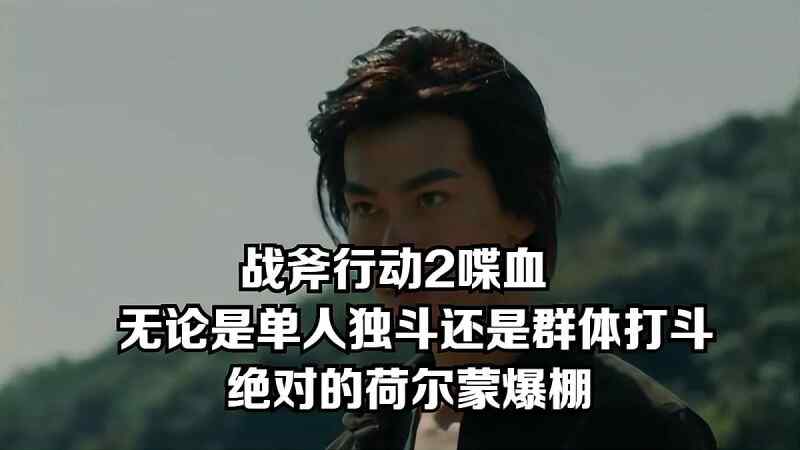 中国 动作/犯罪【战斧行动2：喋血】