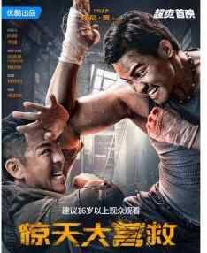 2024 中国 动作/犯罪【惊天大营救】