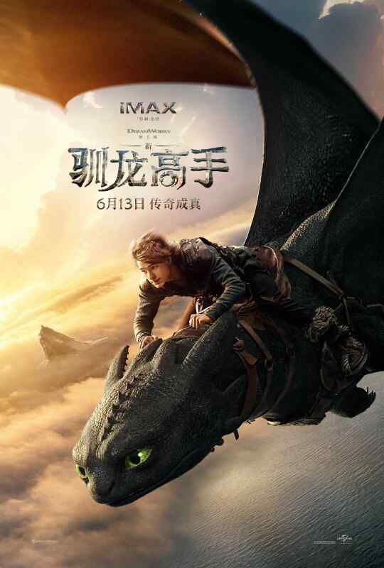 新·驯龙高手 (2025)豆瓣8.4 驯龙高手真人版