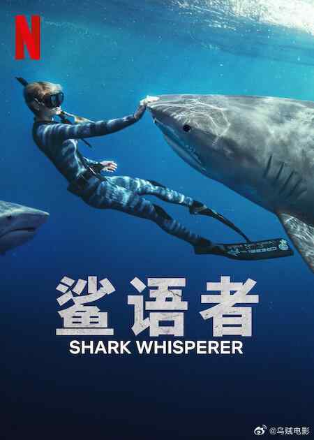 鲨语者 (2025)完成保护鲨鱼的危险使命