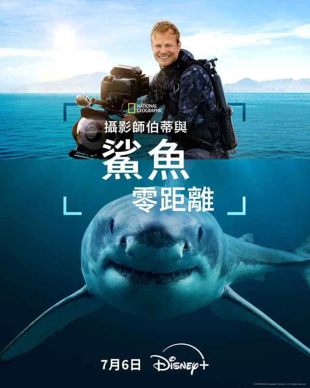 摄影师贝尔蒂与鲨鱼零距离 (2025)潜水拍摄大白鲨猎捕