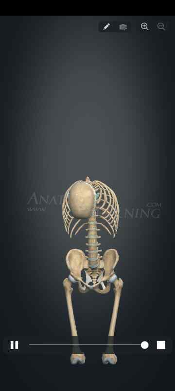 Anatomy3.1.461🔥3 D人体部位学习🔥