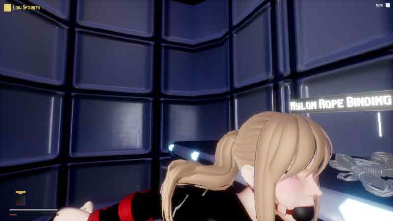 【ACT/3D/绳艺】Bound Project Ver39 【1.5G】