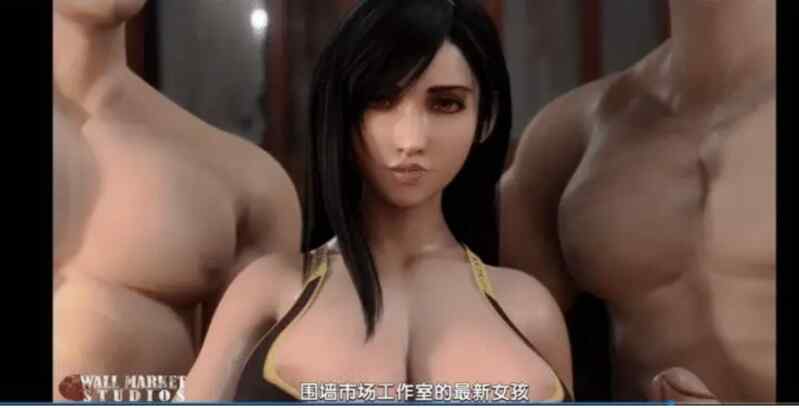 【3D】 最终幻想精品同人长篇有剧情有对话中文字幕版合集１５部合集【视频：１５V+１２G】