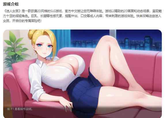 【PC/欧美SLG/2D/官中】迷人女孩 Charming Girl官方中文版【0.24G】