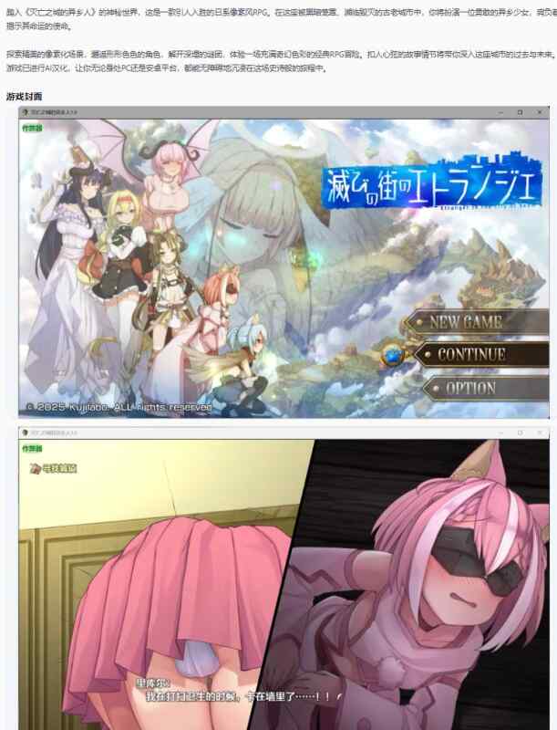 【PC+安卓/日系RPG/AI汉化/奇幻】灭亡之城的异乡人1.0 AI汉化版 滅びの街のエトランジェ -Etranger in the city of doom-【2.76G】