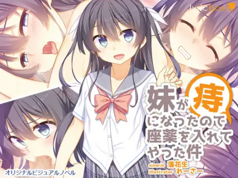 【ADV/汉化/乱x/CV】给得了痔疮的妹妹塞栓剂 安卓盖世+PC