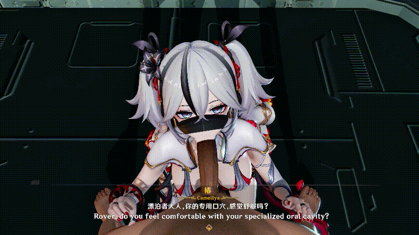 [MMD动画/无码] Sola大佬 24.11~ 40.椿 [1.97G/百度/FM]
