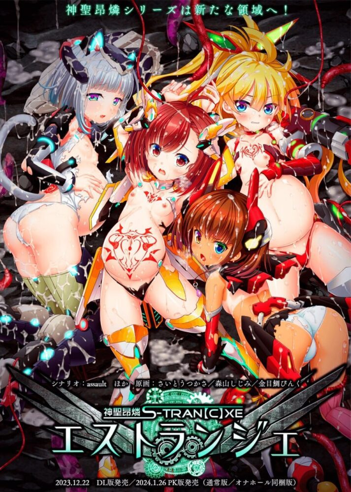 [日式ADV/CV/AI汉化] 神聖昂燐·魑鬽融芯 神聖昂燐エストランジェ汉化版+全CG存档~全CV [2780M/百度/FM]